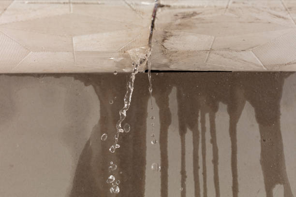 Professional Sewage Cleanup technician working in Lunenburg, MA